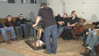 Elise Graves - On Display