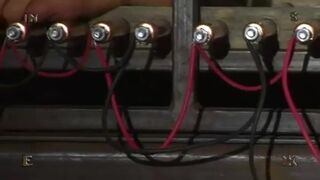 Lorelei Lee in Insex