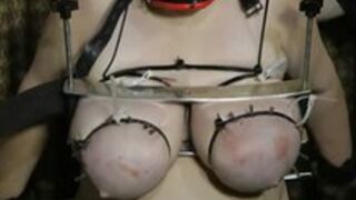 Heavy duty tit torment 2