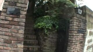 SM Miracle E0403 - Japanese