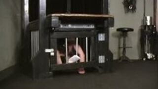 Worthless pig humiliated - Female domination