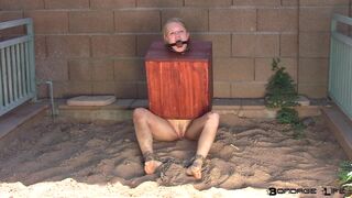Boxed up and Gagged
