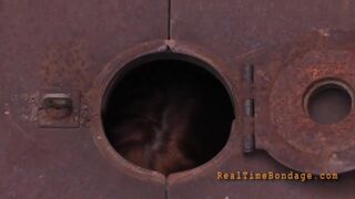 Calico Lane - Ice Pony Outdoors