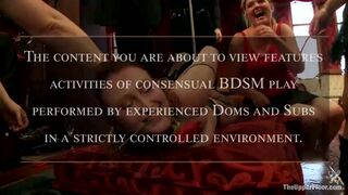 Beautiful Cock Suckers, Part Two