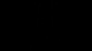 Handywoman - Queensnake