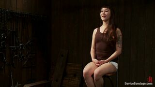 This bitch needs to be fixed