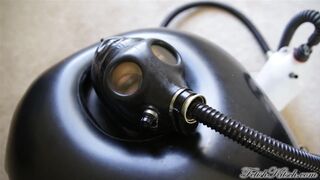 Day in Total Enclosure