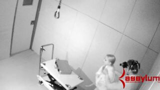 HD ASSYLUM Tail Training