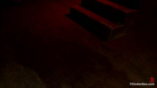 Sweet Dreams Transexual Domination of a Single White Male