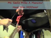 CBT Milking - Ms Sadie