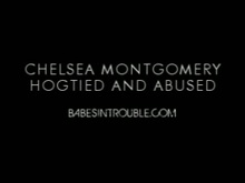 Chelsea Montgomery Hog Tie