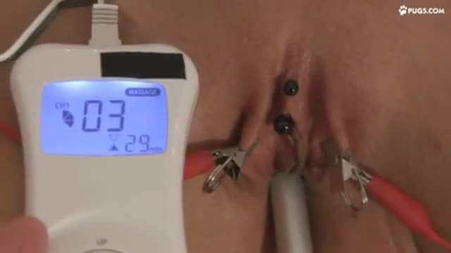 Queensnake - Electro pussy Torture