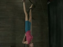 blowjob in inverted suspension