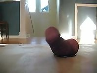 Cock Torture at home