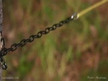 Queensnake - Puppy Play Outdoors