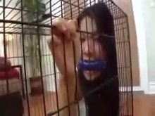 Caged Lesbian Pet