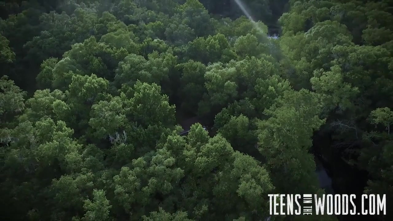 Sydney Cole . Teens in the Woods