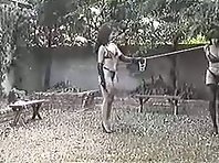Backyard Training - Lesbian