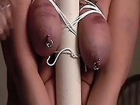 Pierced tits tortured